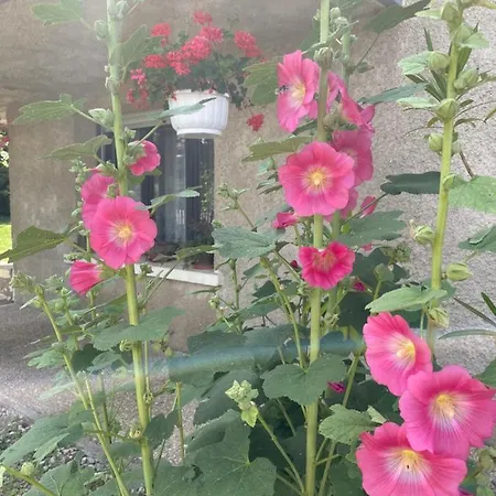 L Hotellerie De La Gare *