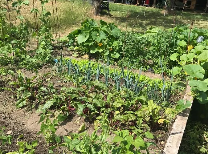 Apartamento L Hotellerie De La Gare