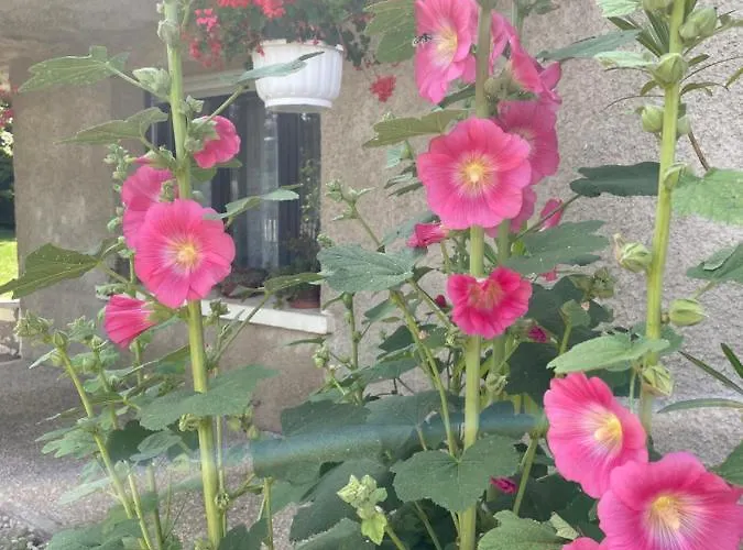 L Hotellerie De La Gare *